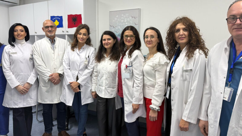 The Latest ESO Visiting Professor Meeting in Pristina with Alina Sturdza