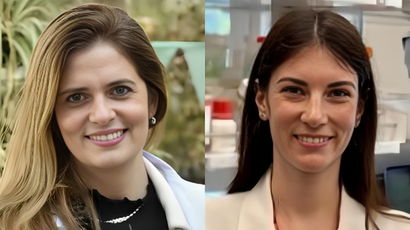 María Natalia Gandur Quiroga: Hallmarks of Cancer Immune Evasion by Claudia Galassi et al