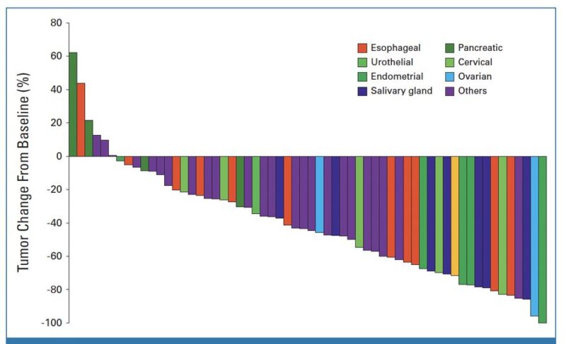 Trastuzumab Deruxtecan in Advanced Solid Tumors With HER 2 Amplification Identified