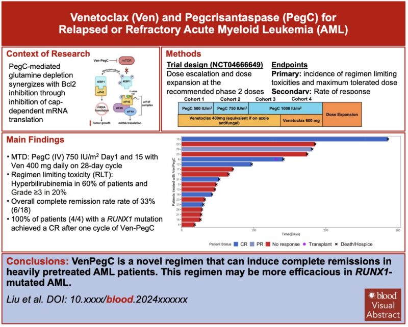 Venetoclax and Pegcrisantaspase for Relapsed or Refractory Acute Myeloid Leukemia