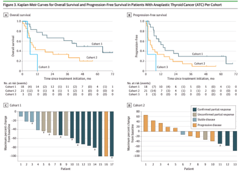 Deridre Kelly: Anti–PD-L1 and TKI in anaplastic thyroid cancer