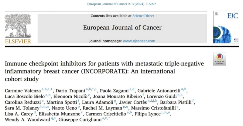 Carmine Valenza: ICIs in patients with metastatic TN-IBC