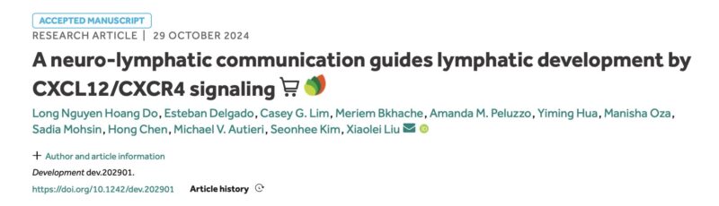 Xiaolei Liu: New insights into lymphatic development by CXCL12/CXCR4 signaling