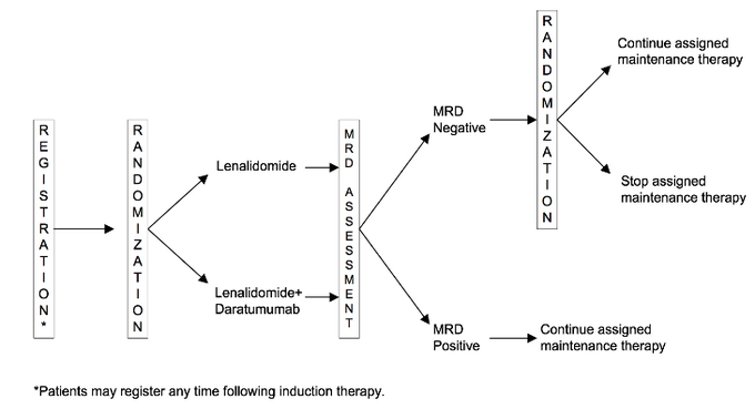  Multiple Myeloma