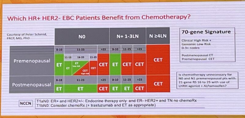 Erman Akkus: Adjuvant endocrine and chemotherapy in HR+/HER2- breast cancer