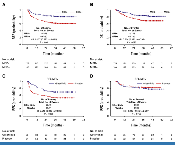 Talha Badar: Post-transplant FLT3 maintenance therapy for AML