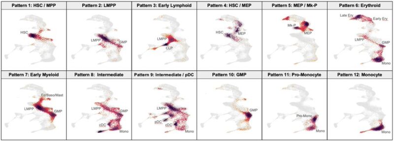 Andy Zeng: Mapping single-cell RNA sequencing data across normal and malignant hematopoiesis