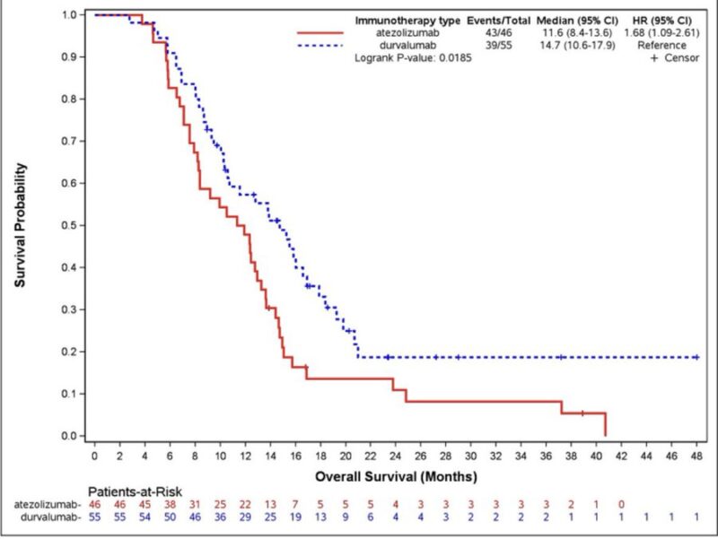 Bruna Pellini: Are all immune checkpoint inhibitors the same?