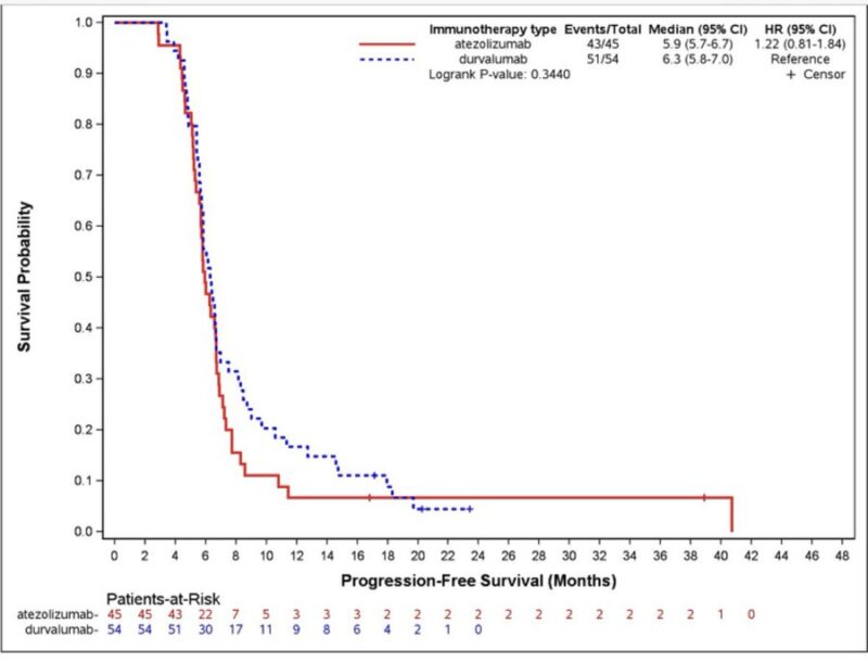 Bruna Pellini: Are all immune checkpoint inhibitors the same?