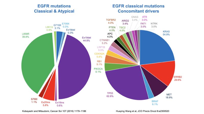 Katsuaki Maehara: Using targeted NGS analysis for EGFR classical mutations in NSCLC