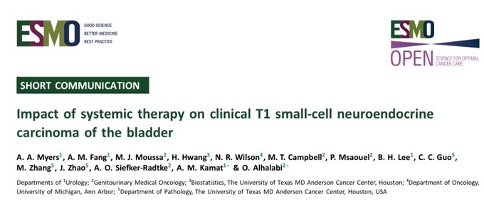 Omar Alhalabi: Advancing Knowledge on Aggressive Bladder Cancer Subtypes