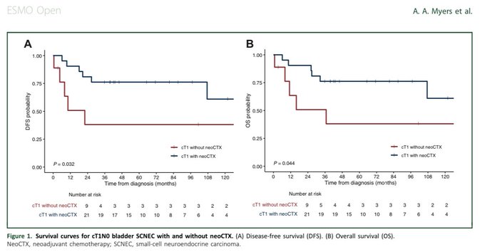 Omar Alhalabi: Advancing Knowledge on Aggressive Bladder Cancer Subtypes