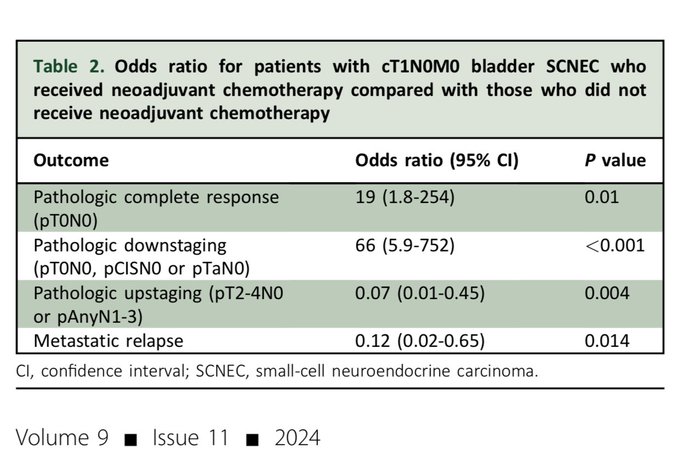 Omar Alhalabi: Advancing Knowledge on Aggressive Bladder Cancer Subtypes