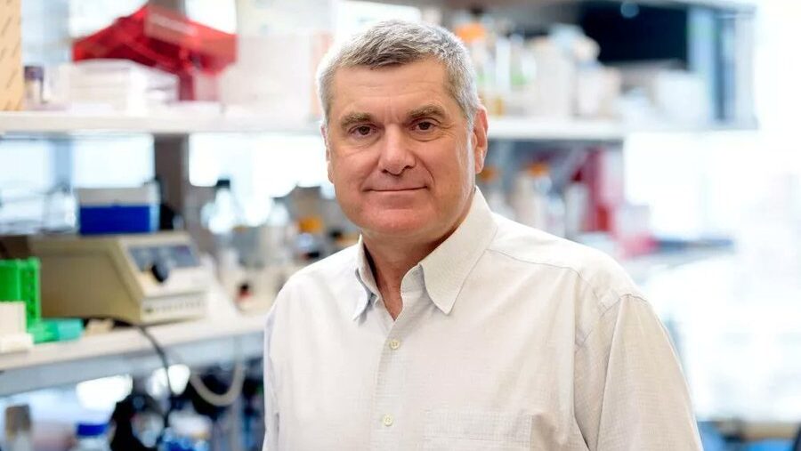 How mitochondria form two distinct subpopulations under stress – Memorial Sloan Kettering Cancer Center