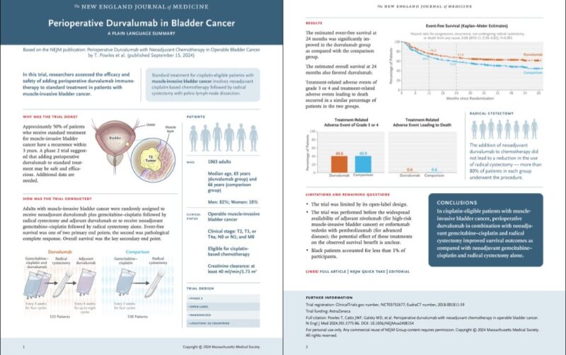 Perioperative Durvalumab with Neoadjuvant Chemotherapy in Bladder Cancer