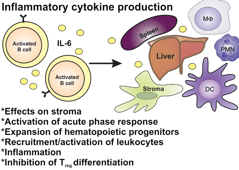 Nico Gagelmann: Current status and Future directions for CAR-T Therapy