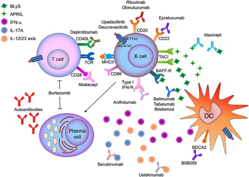 Nico Gagelmann: Current status and Future directions for CAR-T Therapy