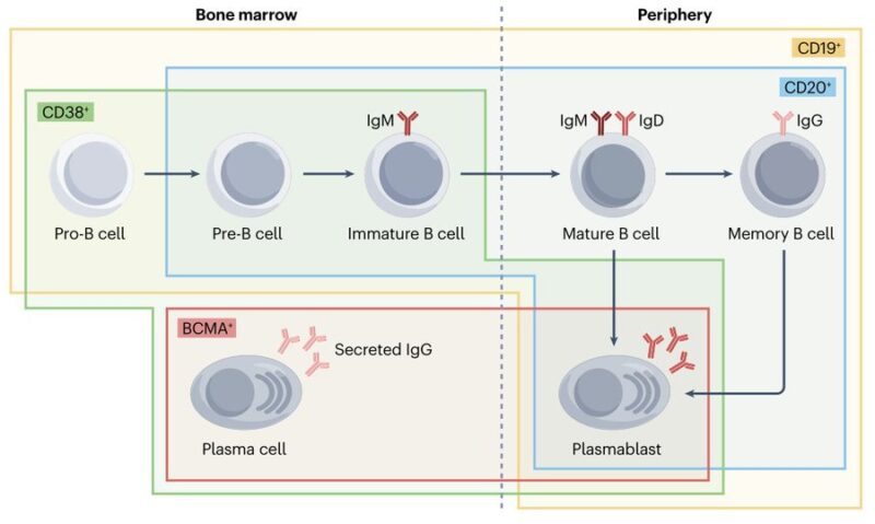 Nico Gagelmann: Current status and Future directions for CAR-T Therapy