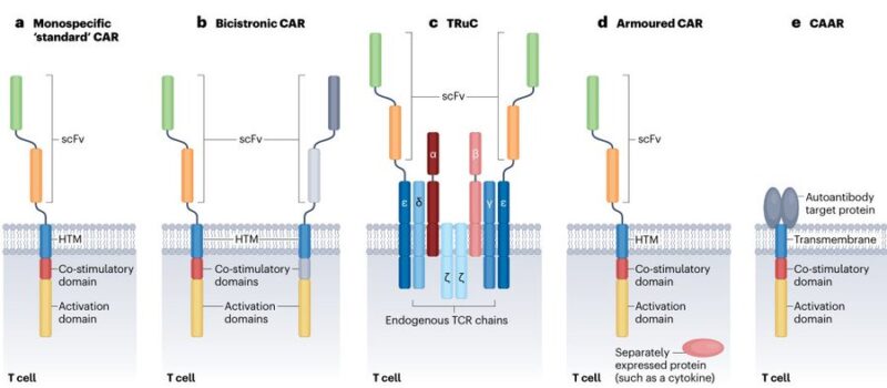 Nico Gagelmann: Current status and Future directions for CAR-T Therapy