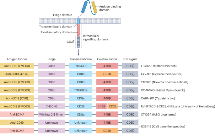 Nico Gagelmann: Current status and Future directions for CAR-T Therapy