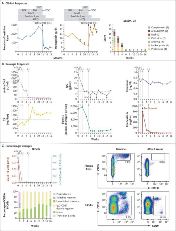 Nico Gagelmann: Current status and Future directions for CAR-T Therapy