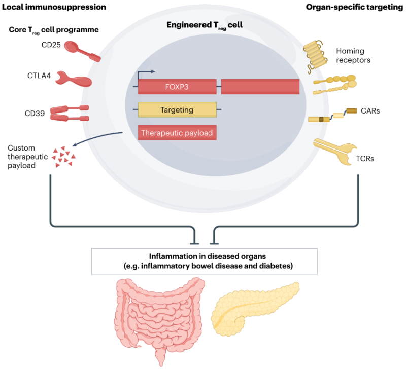 Nico Gagelmann: Current status and Future directions for CAR-T Therapy