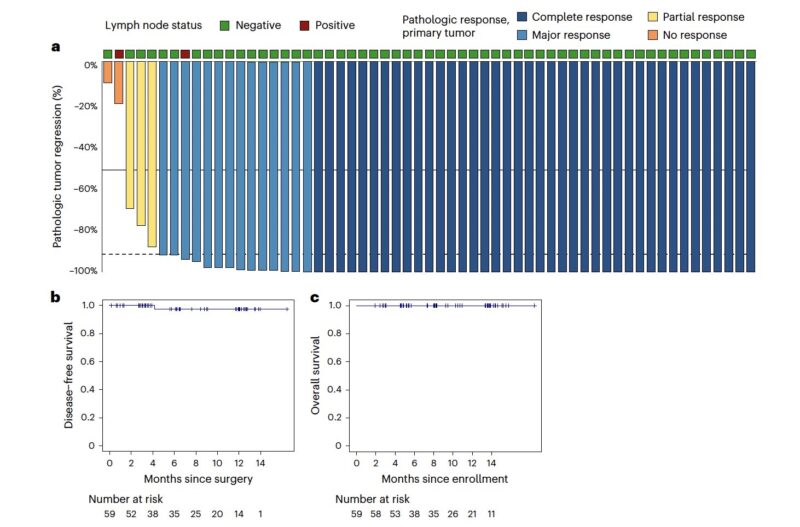 Neoadjuvant nivolumab and relatlimab in locally advanced MSI CRC