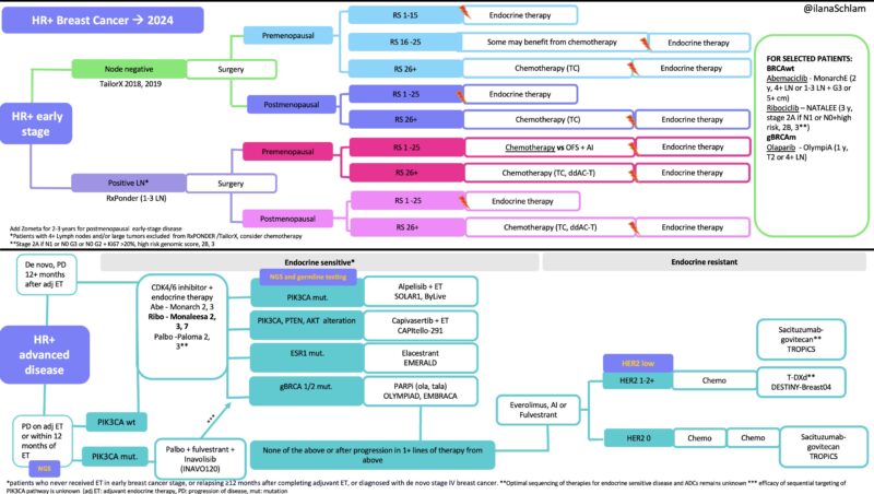 Ilana Schlam: Updated treatment algorithms for Breast Cancer include adjuvant Ribociclib and Inavolisib