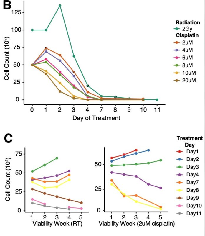 Francesco Maura: The Mutagenic Impact of Radiotherapy in Hematological Malignancies