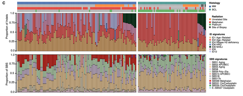 Francesco Maura: The Mutagenic Impact of Radiotherapy in Hematological Malignancies