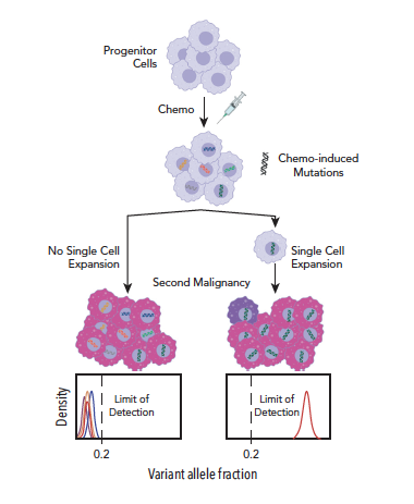 Francesco Maura: The Mutagenic Impact of Radiotherapy in Hematological Malignancies