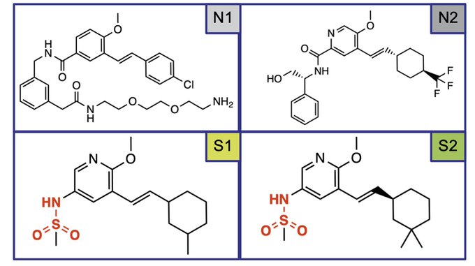 Regulating the Hippo pathway with the New class of TEAD small molecule inhibitors