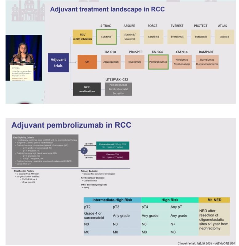 Highlights from RENALC 2024 by María Natalia Gandur Quiroga