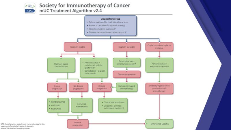 Enrique Grande: SITC Guideline on Immunotherapy for Urothelial Cancer