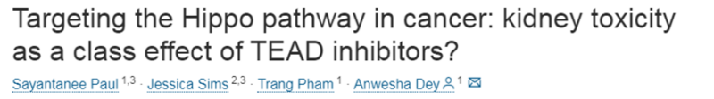 Regulating the Hippo pathway with the New class of TEAD small molecule inhibitors