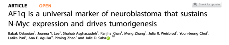 AF1q as a promising new biomarker for neuroblastoma