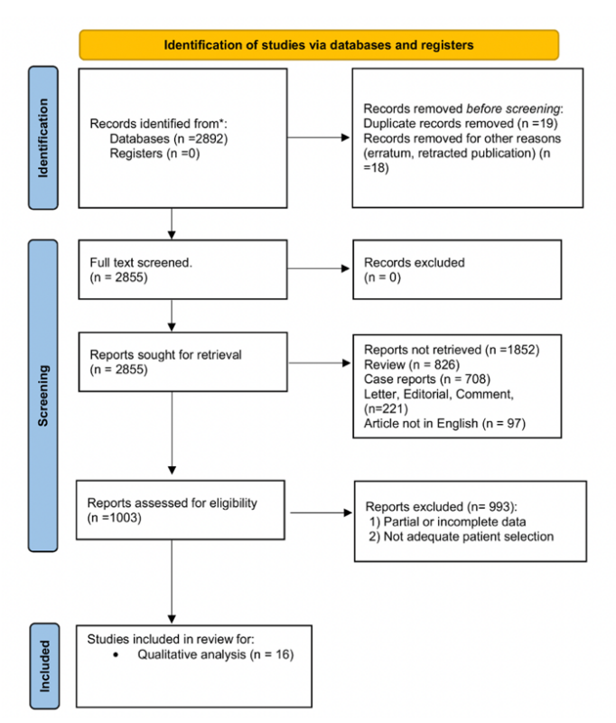 Paper Alert! Past, Present, and Future Diagnostic Methods for the Early Noninvasive Detection of Oral Premalignant Lesions: A State of the Art and Systematic Review