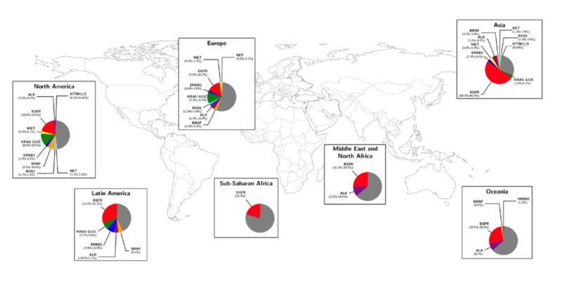 Paper Alert! Geographic Variations and Risk Factors in Lung Cancer Incidence