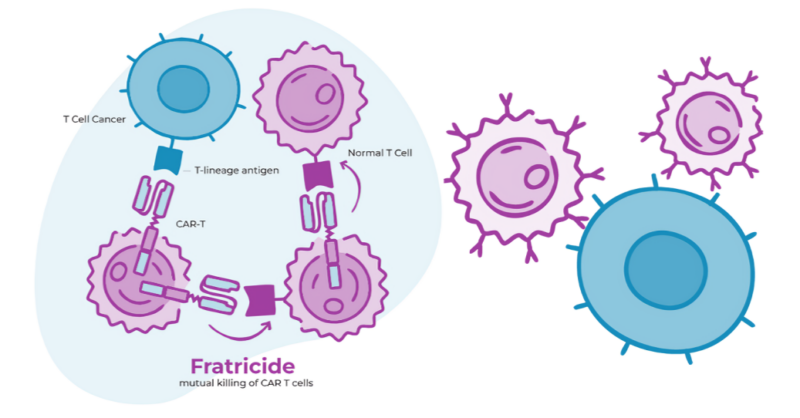 Funding Success: March Biosciences Closes Oversubscribed $28.4 Million Series A Financing