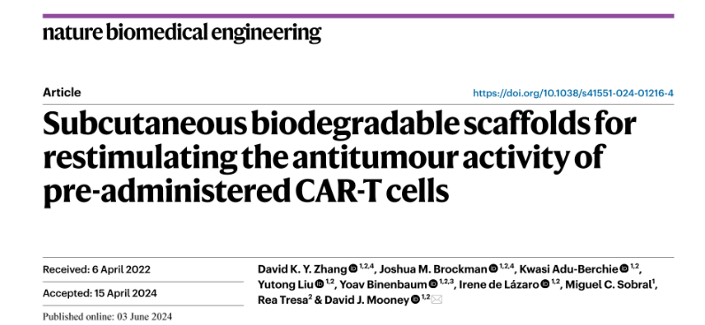 Yan Leyfman: An innovative approach to promote CAR T cell longevity and boost therapeutic efficacy