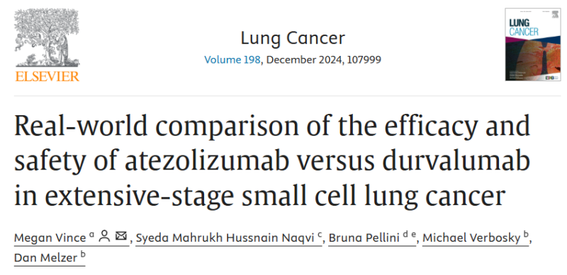 Bruna Pellini: Are all immune checkpoint inhibitors the same?