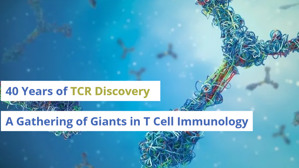 Celebrating 40 Years of TCR Discovery: A Gathering of Giants in T Cell Immunology