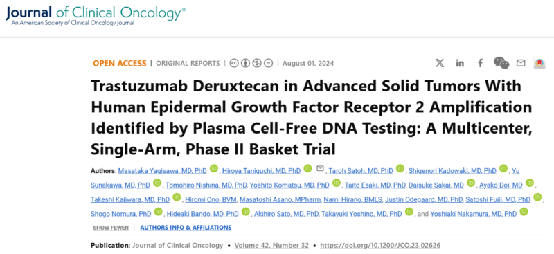 Trastuzumab Deruxtecan in Advanced Solid Tumors With HER 2 Amplification Identified