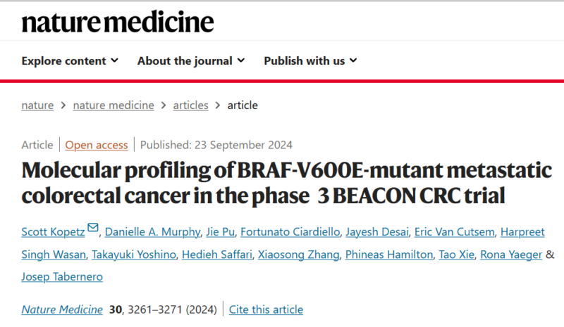 Molecular profiling of mBRAFV600E mCRC summarized by Arndt Vogel