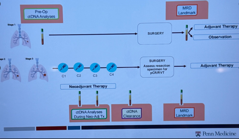 Highlights from New York Lung Cancers Symposium 2024 by Stephen V Liu