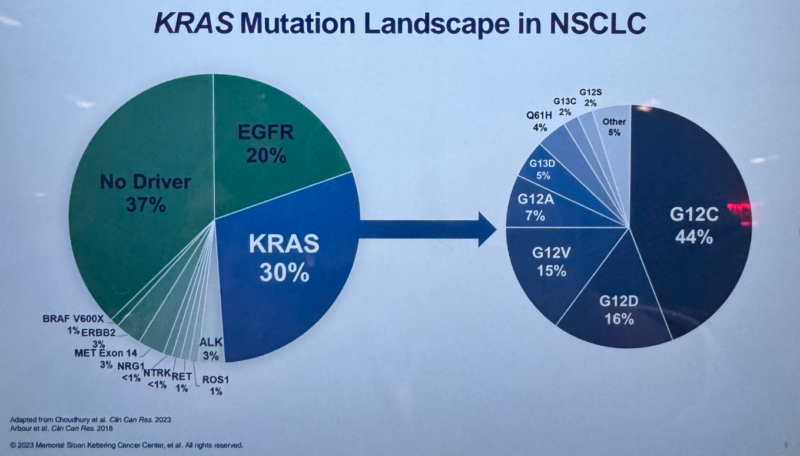 Highlights from New York Lung Cancers Symposium 2024 by Stephen V Liu