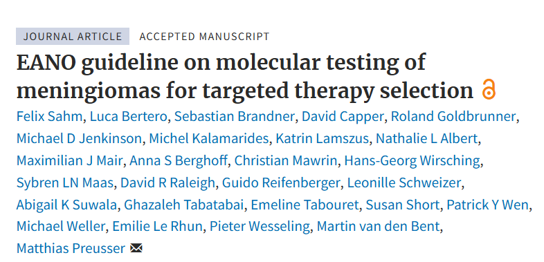 The EANO Guideline on molecular testing of meningiomas for targeted therapy selection