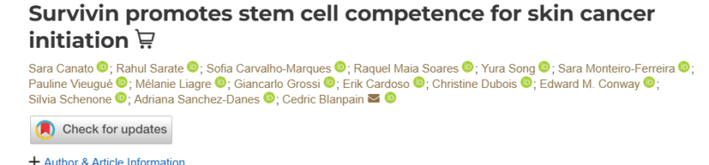 Survivin Promotes Stem Cell Competence for Skin Cancer Initiation