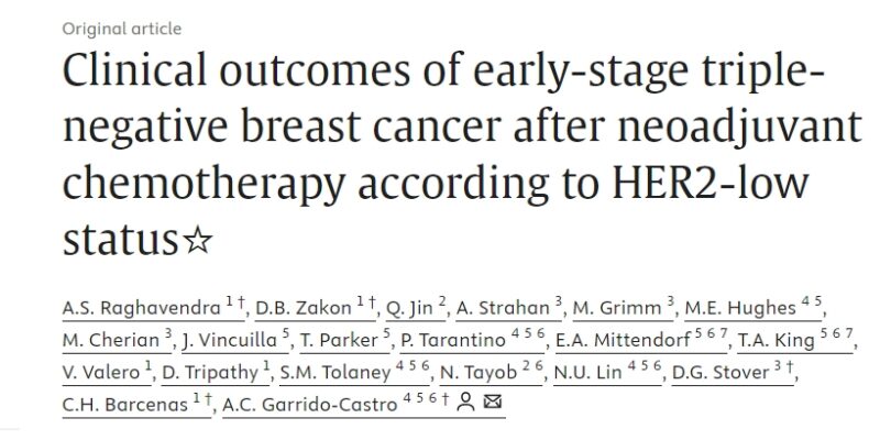 HER2-Low Status and Its Impact on Outcomes in Early-Stage Triple-Negative Breast Cancer