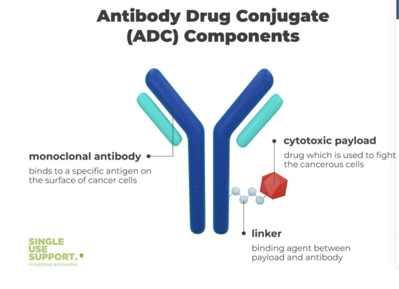 Aaron Goodman: Toxicities to remember for Antibody Drug Conjugates